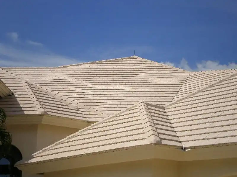 Roof Cleaning